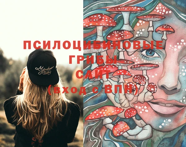 скорость Елизово