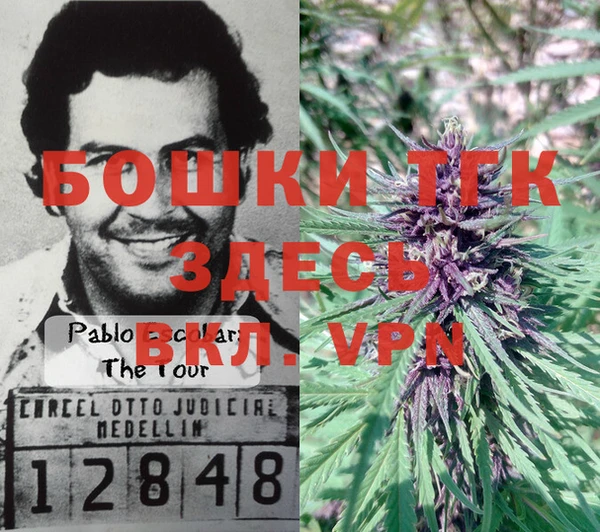 хмурый Заводоуковск