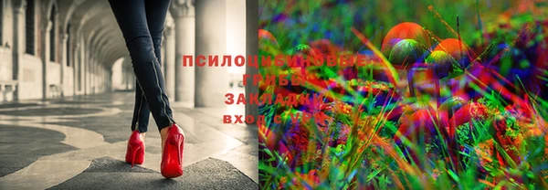 скорость Елизово