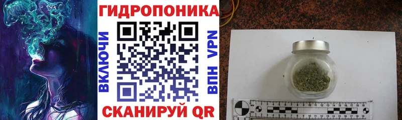 Каннабис планчик  Купить где  Иланский 